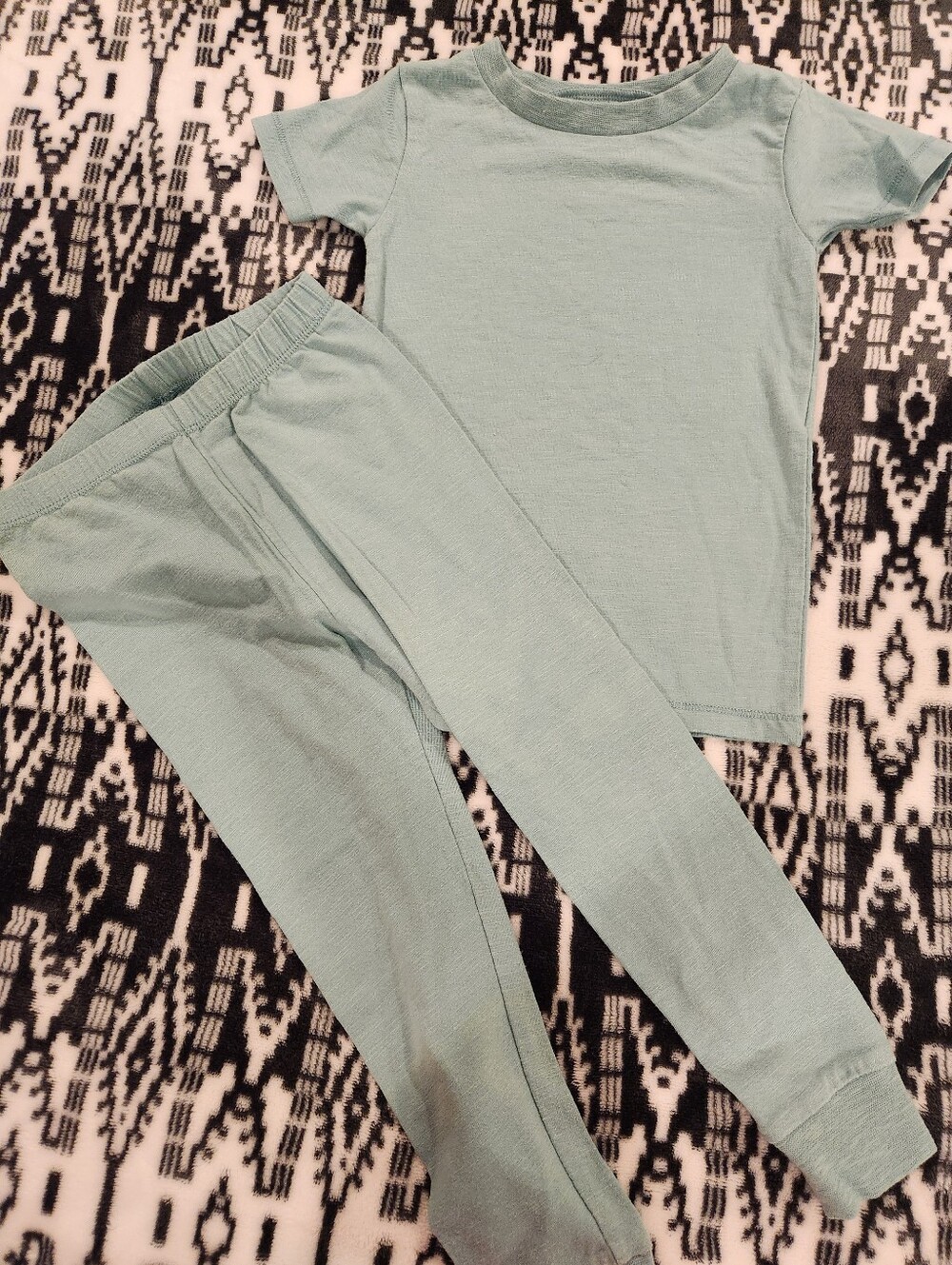 Burt's Bees Kids Light Seafoam Green Cotton Snug-Fit Pajamas Set, Size 3T